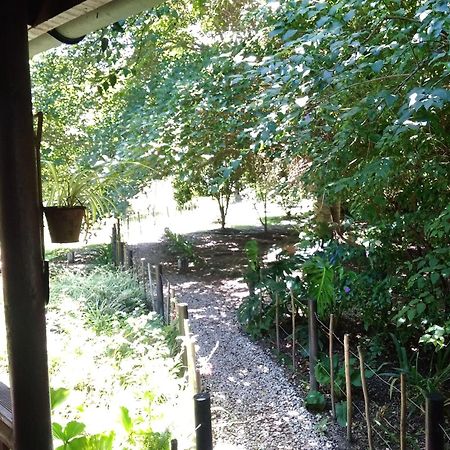 Andelomi Nature'S Rest Stormsrivier Ngoại thất bức ảnh