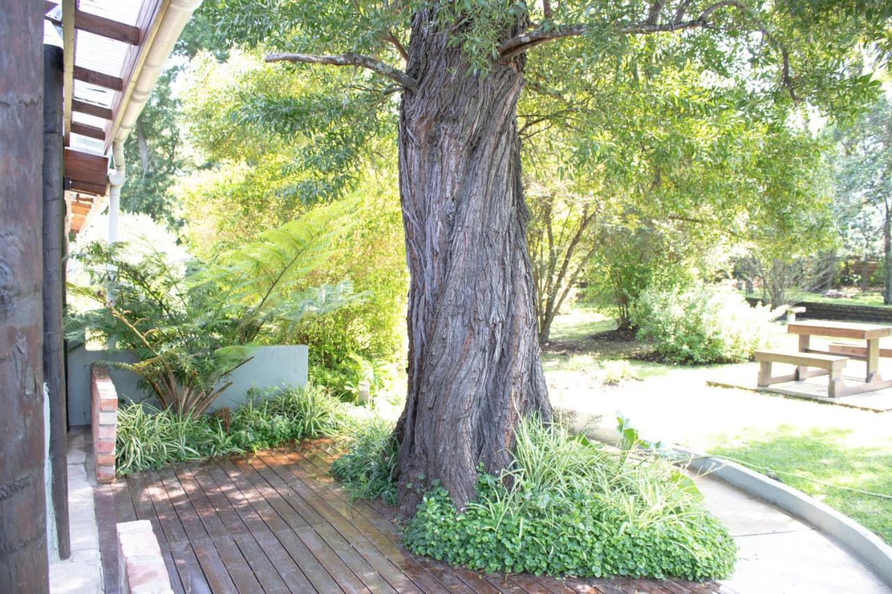 Andelomi Nature'S Rest Stormsrivier Ngoại thất bức ảnh