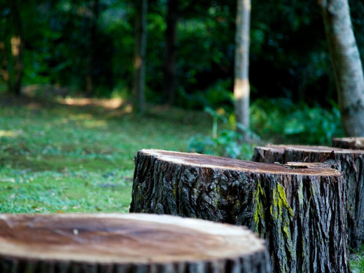 Andelomi Nature'S Rest Stormsrivier Ngoại thất bức ảnh
